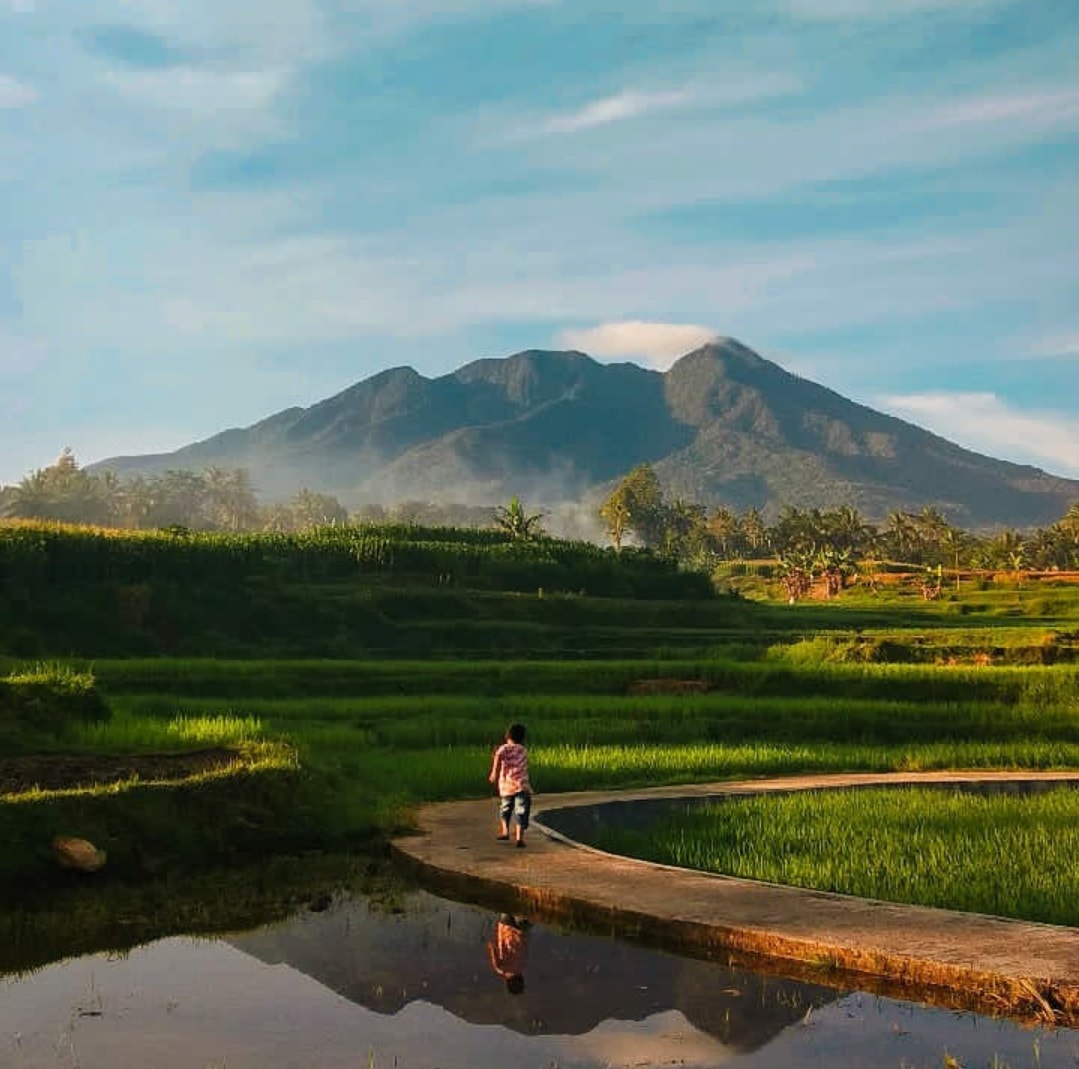 ilustrasi Gunung Sago. (net)