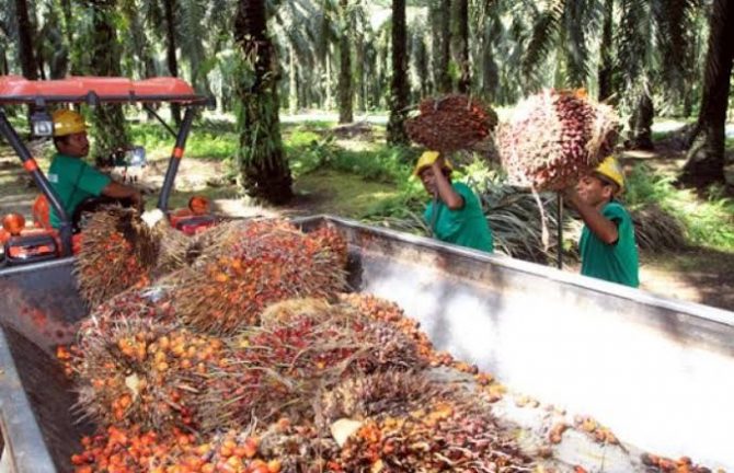 ilustrasi. (jawapos.com)