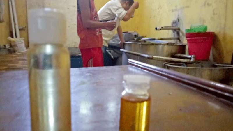 ilustrasi minyak nilam. (jpg)