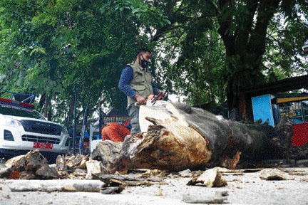 Petugas TRC BPBD Kota Padang membersihkan material pohon yang tumbang di Pujasera Jalan Hayam Wuruk, siang kemarin (7/3). (Sy Ridwan-Padang Ekspres)