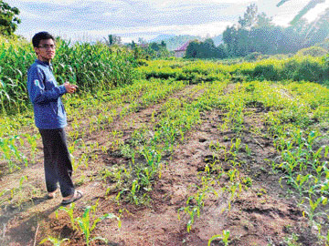 Alam Syahputra, pendiri Millenial Agro Comunity (MACO) di Pariaman yang mampu merangkul kalangan muda berkreativitas di bidang pertanian. (IST)