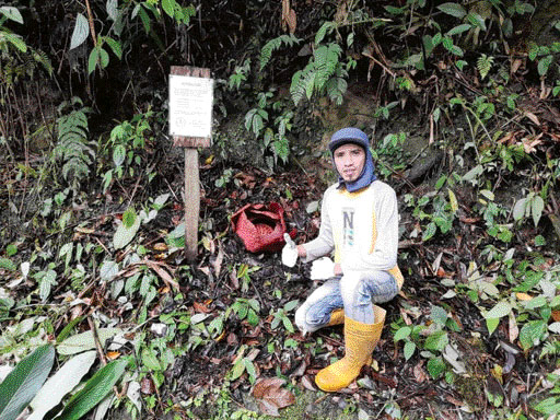 Salah seorang masyarakat berfoto di dekat Raflesia yang baru mekar. (IST)