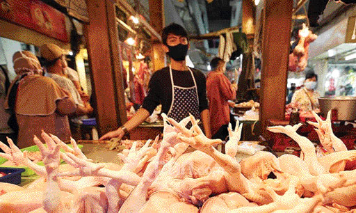 Salah seorang pedagang ayam potong di salah satu pasar di Indonesia. Ayam asal Brazil diisukan bakal menyerbu Indonesia. (IST)