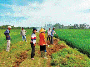 BERSEMANGAT: Warga Kelurahan Kotopulai bergotong royong mengerjakan program manunggal BBGRM 2021.(IST)