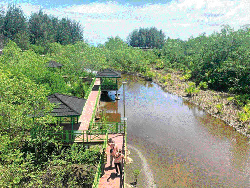 KAWASAN Hutan Mangrove dilengkapi jalan setapak dan gazebo yang terlihat indah dan nyaman.(IST)