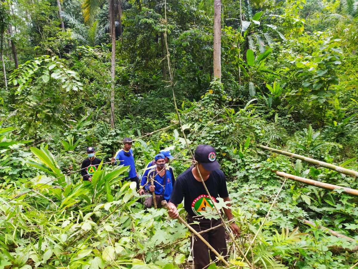 ilustrasi pencarian warga hilang di hutan.(NET)