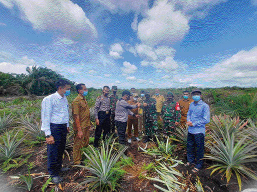 NILAI EKONOMI: Bhabinkamtibmas Nagari Sambungo, Bripka Rizki Abdul Hakim dikunjungi Dandim 0311 Pessel, Letkol Inf Gamma Arthadillah Sakti, dan Camat Silaut, Samwil, beberapa waktu lalu.(IST)