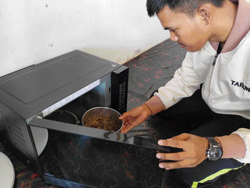 ALTERNATIF PAKAN: Proses pengeringan maggot menggunakan microwave yang dilakukan startup Larvaeco.(IST)