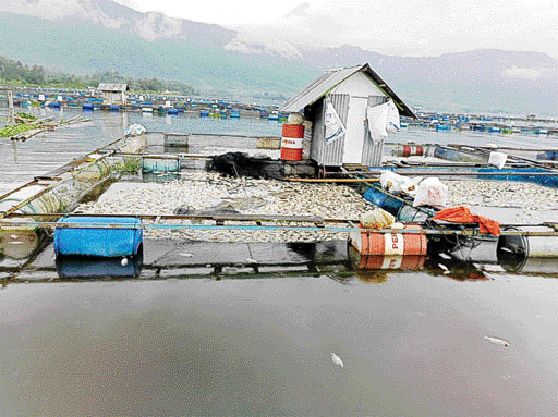 KJA Danau Maninjau.(IST)