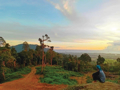 NAGARI BERPOTENSI: Salah satu keindahan alam yang dapat disaksikan dari perbukitan Nagari Kasang.(IST)