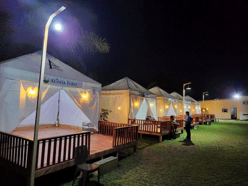 SUASANA malam di glamping Alinia Farm and Park.