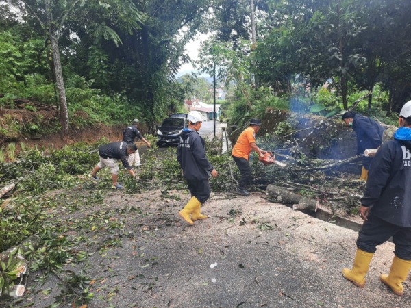 Pusdalops PB & Tim Reaksi Cepat (TRC) BPBD Kota Padangpanjang memotong pohon tumbang di RT 12 Kelurahan Ngalau, Padangpanjang Timur.
