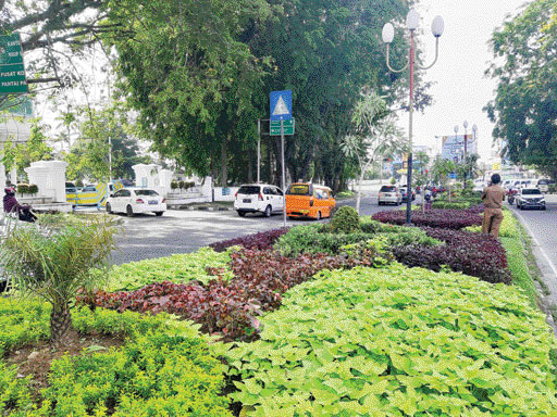 ASRI: Median Jalan S Parman ditanami aneka tanaman, menambah suasana perkotaan tampak asri dan hijau.(DOK. DLH PADANG)
