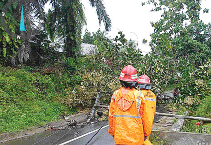 AKIBAT CUACA EKSTREM: Personel BPBD Agam melakukan pembersihan material pohon tumbang yang menutupi akses jalan di Jorong Cacangtinggi, Nagari Tiku Utara, kemarin (25/7) sore.(IST)