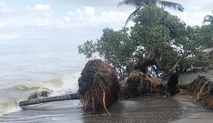 ABRASI: Kondisi pantai di Jorong Masang, Nagari Tiku V Jorong, yang diterjang abrasi hingga puluhan meter, butuh penanganan serius, kemarin.(IST)