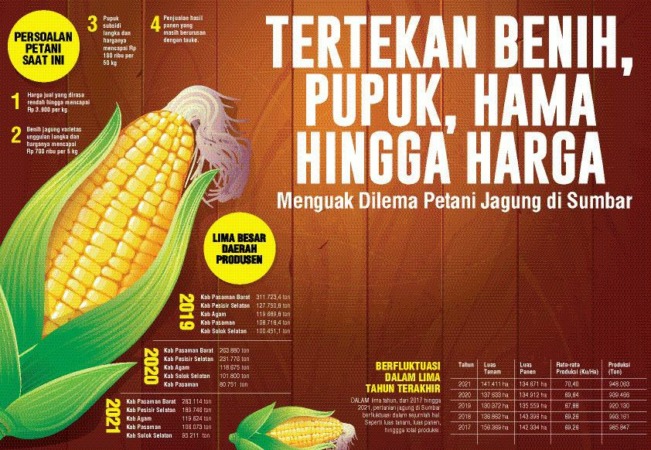 Ilustrasi.(DISTANHORBUN SUMBAR/OLAHAN/GRAFIS:AIDIL ADRI)