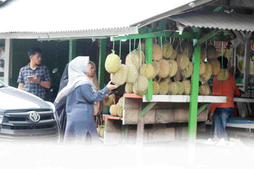 MELIMPAH: Salah seorang pembeli saat memilih durian yang dijual pedagang di tepi jalan Padang-Bukittinggi, di kawasan 2x11 Kayutanam, kemarin (21/8).(ARIS PRIMA GUNAWAN/PADEK)