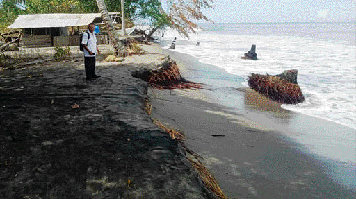 PENGIKISAN: Jajaran Pemnag Tiku V Jorong saat meninjau kondisi bibir pantai antara Jorong Masang dan Muaroputuih yang mengalami abrasi, beberapa waktu lalu. Sepekan terakhir dampak abrasi terpantau kian parah.(PUTRA SUSANTO/PADEK)
