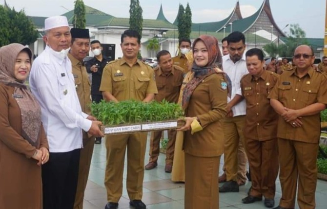 HARUS MANDIRI: Bupati Pasbar Hamsuardi menanam cabai secara simbolis di kantor Bupati Pasbar, Senin (12/9).(IST)