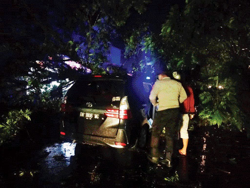 DIBERSIHKAN: Petugas BPBD Payakumbuh membersihkan pohon tumbang yang menimpa mobil di Nan Kodok, Tigo Koto Dibaruah, Payakumbuh Utara, sekitar pukul 02.00 WIB, Sabtu (22/10) dini hari.(IST)