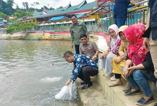 PELEPASAN: Pelepasan 125 ribu ekor bibit ikan di Perikanan Peridon Lubukmanggis, Aek Nabirong, Kecamatan Kotabalingka, Kabupaten Pasaman Barat (Pasbar), Jumat (7/10) lalu.(IST)