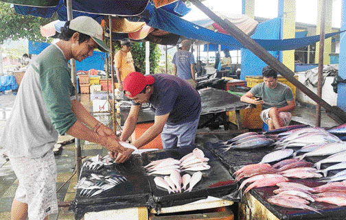 MAHAL: Seorang pedagang ikan laut di Pasar Ikan Pantai Purus merapikan dagangannya, Senin (31/10).(DEWI FATIMAH/PADEK)