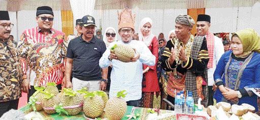 DIMINATI: Bupati Tanahdatar memperlihatkan durian gunuang rajo pada Festival Galiek Durian Nagari Gunung Rajo, Sabtu (12/11) lalu.(IST)