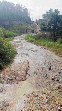 BUTUH PERBAIKAN: Salah satu ruas jalan dan jembatan di Jorong Kubang Balambak, Nagari Simpang Kapuak, Kecamatan Mungka yang masih berbadan tanah beberapa waktu lalu. Saat ini warga membutuhkan perbaikan jalan tersebut.(ILMA YENI FOR PADEK)