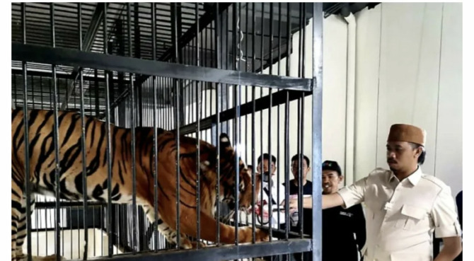 Wali Kota Bukittinggi Erman Safar saat meninjau dan menikmati suasana di TMSBK Bukittinggi, beberapa waktu lalu.(IST)