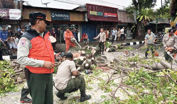PEMBERSIHAN: Petugas BPBD Kota Padang membersihkan material pohon tumbang di Jalan M. Thamrin, kemarin.(IST)