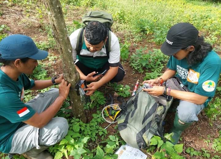 Tim WRU bersama Patroli Nagari  pasang kamera trap untuk mengidentifikasi Jejak harimau di perkebunan warga di Jorong Salibawan, Nagari Sundata Utara, Rabu (7/6).