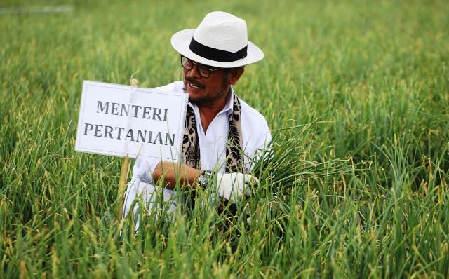 Mentan RI Syahrul Yasin Limpo meninjau kawasan sentra pengembangan bawang merah nasional di Kabupaten Solok sekaligus melakukan dan panen, Rabu (14/6/2023).