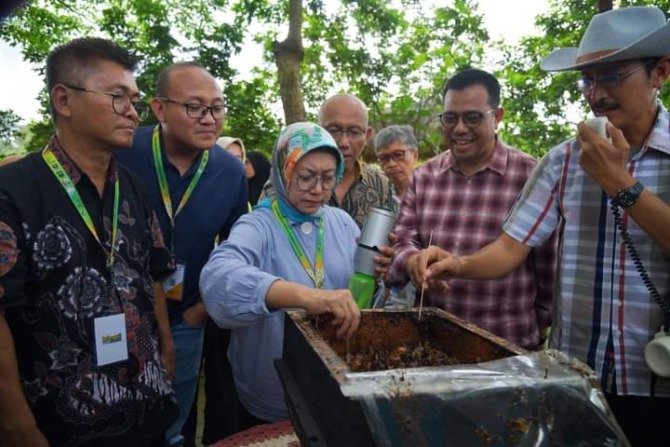 CEK LAPANGAN: Deputi Bidang Kemaritiman dan Sumber Daya Alam Bappenas iku mencoba memanen langsung madu lebah galo-galo di Kebun Buah Kandi.(KOMINFO FOR PADEK)