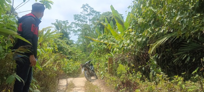 MEMPRIHATINKAN: Kondisi jalan yang sempit dan sulit dilewati menuju Desa Betumonga di Kecamatan Pagai Utara.(ARIF RD/PADEK)