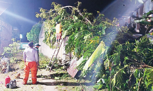 PEMBERSIHAN: Petugas BPBD Kota Padang melakukan pembersihan terhadap pohon tumbang yang menimpa rumah warga di Jalan Hidayah, Parakburuak, RT 001 RW 005, Kelurahan Batipuhpanjang, Kecamatan Kototangah, kemarin.(IST)