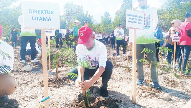 PENANAMAN: PT Semen Padang melakukan penanaman dua ribu bibit kaliandra merah di lingkungan perusahaan sebagai bentuk dukungan energi baru terbarukan, Selasa (28/11).(SUYUDI/PADEK)