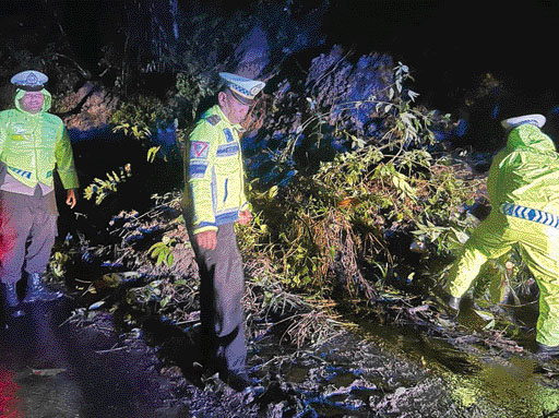 WASPADA BENCANA: Personel Satlantas Polres Agam sedang berupaya mengevakuasi material pohon tumbang di tikungan 3 Kelok 44, kemarin malam.(RIQUL SIKUMBANG FOR PADEK)