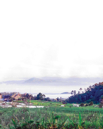 PEMANDANGAN asri yang bisa dilihat oleh pengunjung jika menginap di Glamping Teras Bumi Sikabu.(INSTAGRAM TERAS BUMI SIKABU)