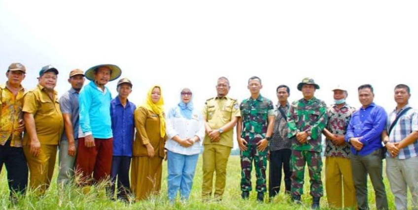 TINJAU:  Pelaksana Tugas (Plt) Bupati Labuhanbatu Ellya Rosa Siregar bersama Dandim 0209/LB Letkol Inf Yudi Ardiyan Saputro melakukan  peninjauan lokasi lahan pertanian yang akan dibangun normalisasi
