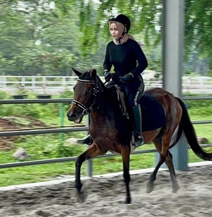 LATIHAN: Atlet berkuda berlatih di Stable Candika Jalan Karya Wisata Medan Johor yang akan menjadi venue PON 2024. (dok. pribadi)