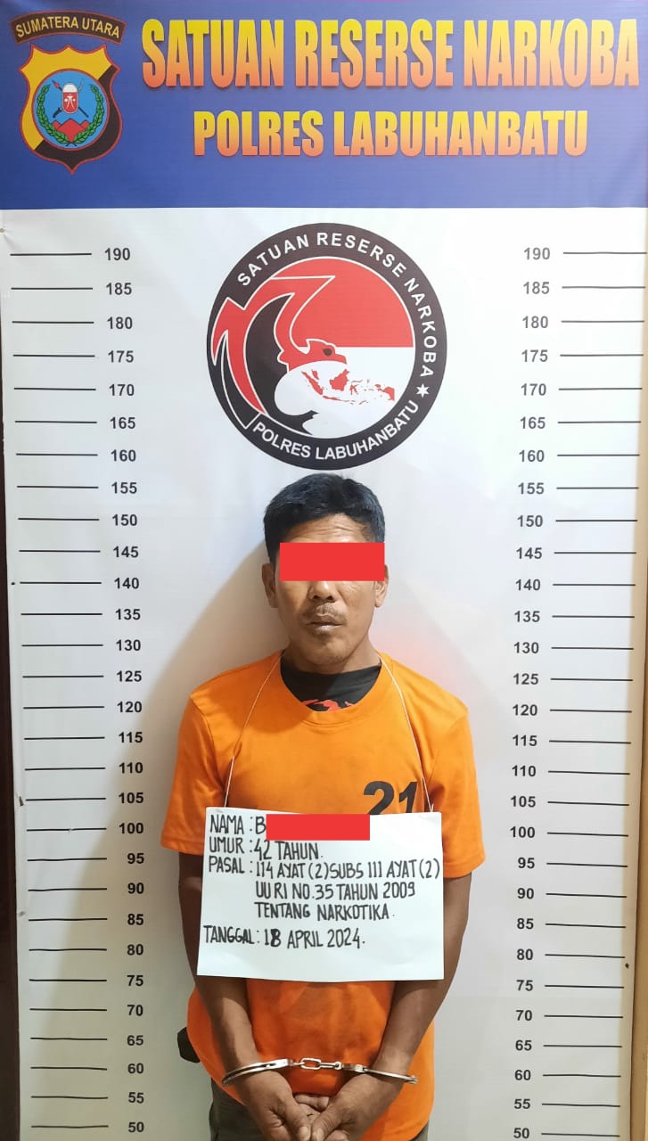 Polres Labuhanbatu Gagalkan Peredaran 7,4 Kg Ganja Kering.