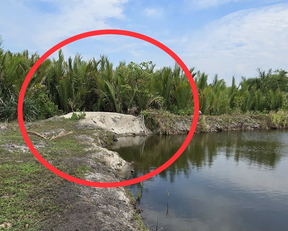 TAMBANG: Dugaan aktivitas tambang yang merusak lingkungan di Kabupaten Batubara.