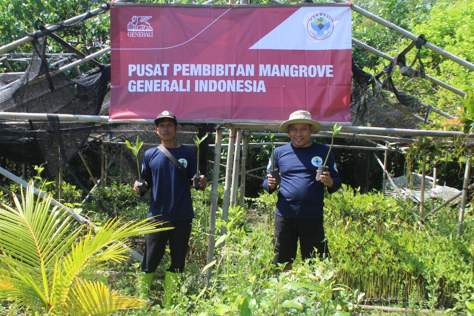 TUNJUKKAN: Unsur Generali Indonesia saat menunjukkan bibit pohon mangrove.
