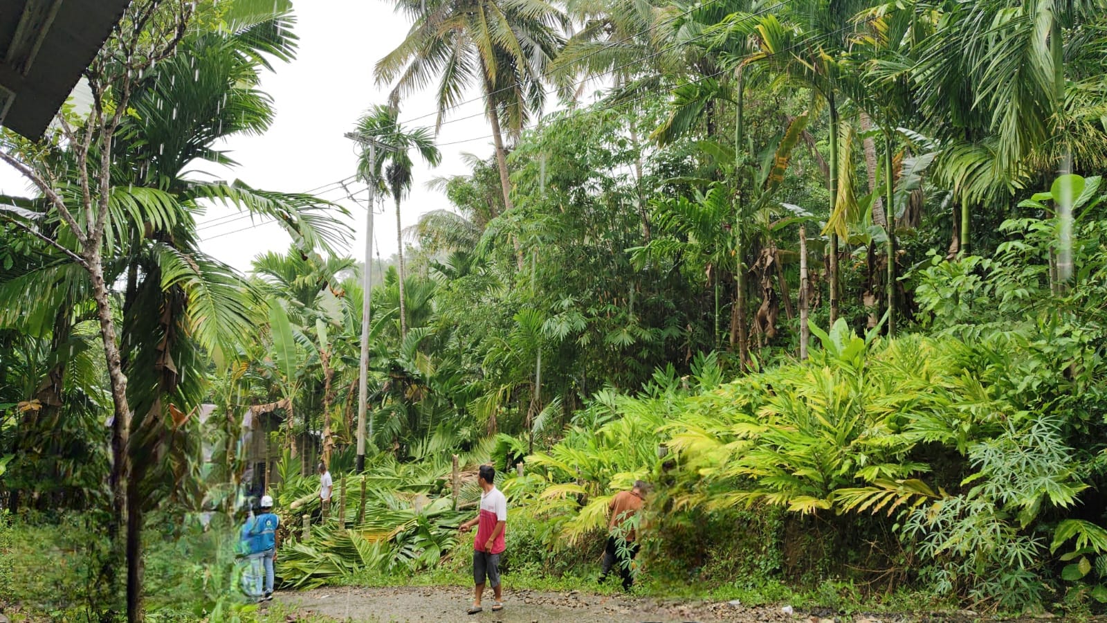 PLN ULP Teluk Dalam bersama masyarakat melakukan pemotongan pohon yang mendekati Jaringan Tegangan Menengah (JTM), pada Senin (12/8).