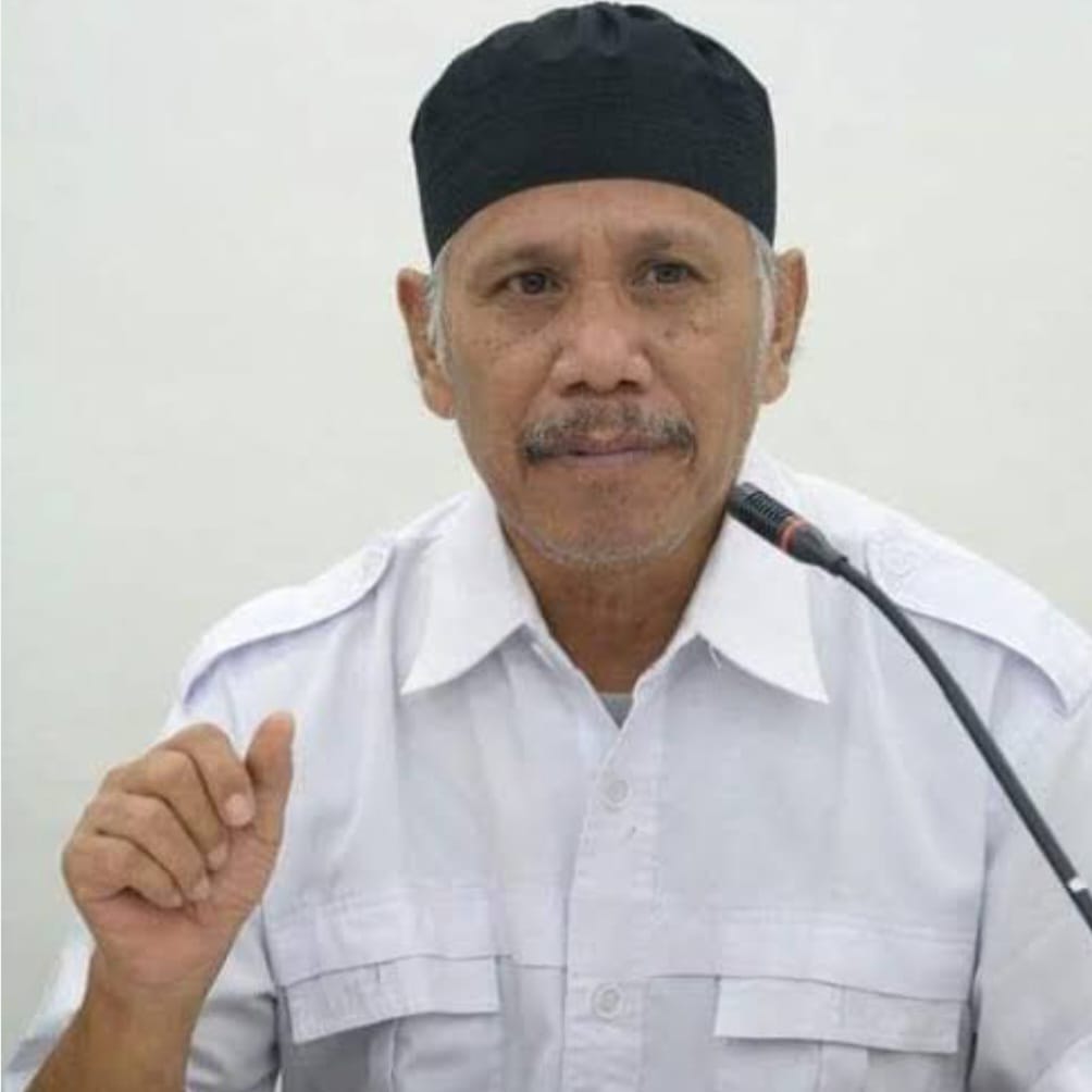 Pengamat Politik Sumatera Utara, Shohibul Anshor Siregar.