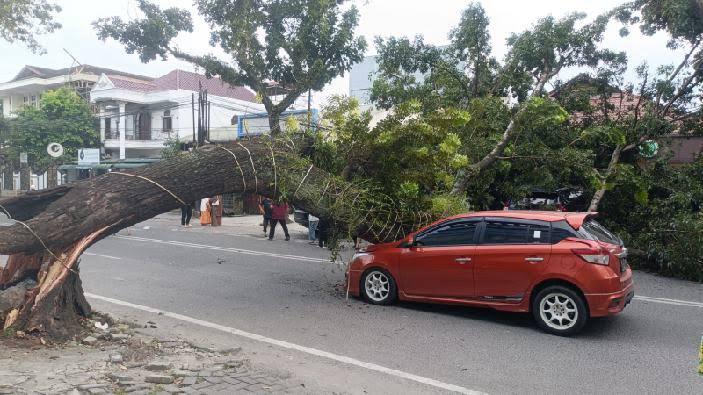 TUMBANG: Sebuah mobil tertimpa pohon tumbang di Jalan Abdullah Lubis, Medan Baru, Kota Medan. (ISTIMEWA/SUMUT POS)