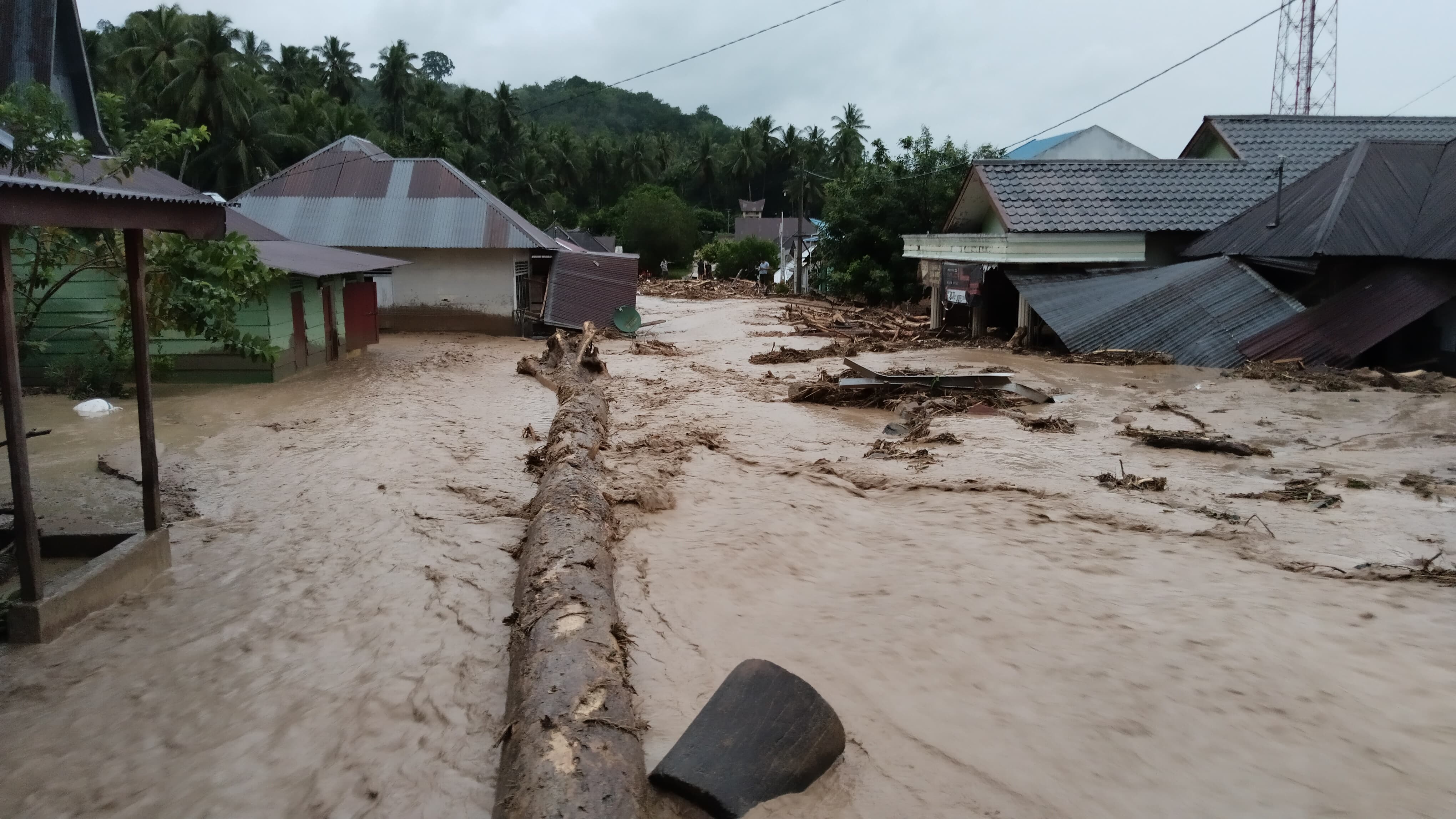 BANJIR: Terjangan banjir bandang melanda Kabupaten Tapanuli Selatan. banjir tersebut menimbulkan Air bah dengan batang-batang kayu hutan menyapu empat desa, tepatnya di Kota Tua, Harean, Sisoma.