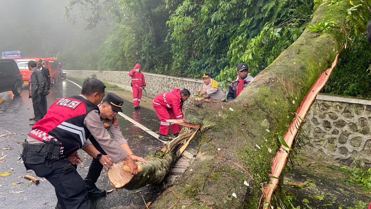 EVAKUASI: Petugas gabungan saat evakuasi pohon tumbang, Jalur utama penghubung Berastagi-Medan, di Jalan Jamin Ginting Km 55-56, Desa Doulu, Kecamatan Berastagi, Kabupaten Karo. Sumut Pos/ Pribadi