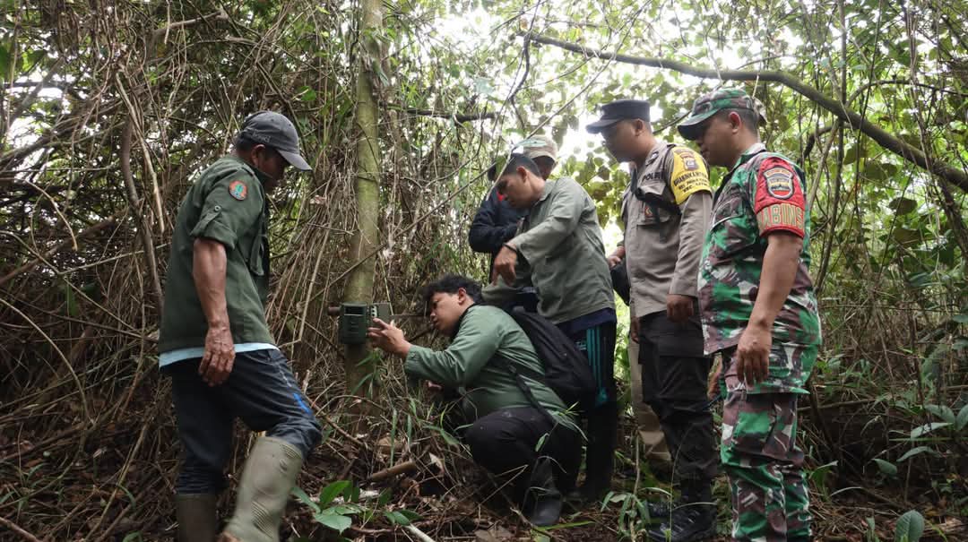 PASANG CAMERA:  Pemkab Dairi dan BBKSDA memasang camera trap mengintai Harimau Sumatera yang masuk keareal perladangan warga di Lingkungan 4 Lae Gerat, Kelurahan Panji Dabutar, Kecamatan Sitinjo.