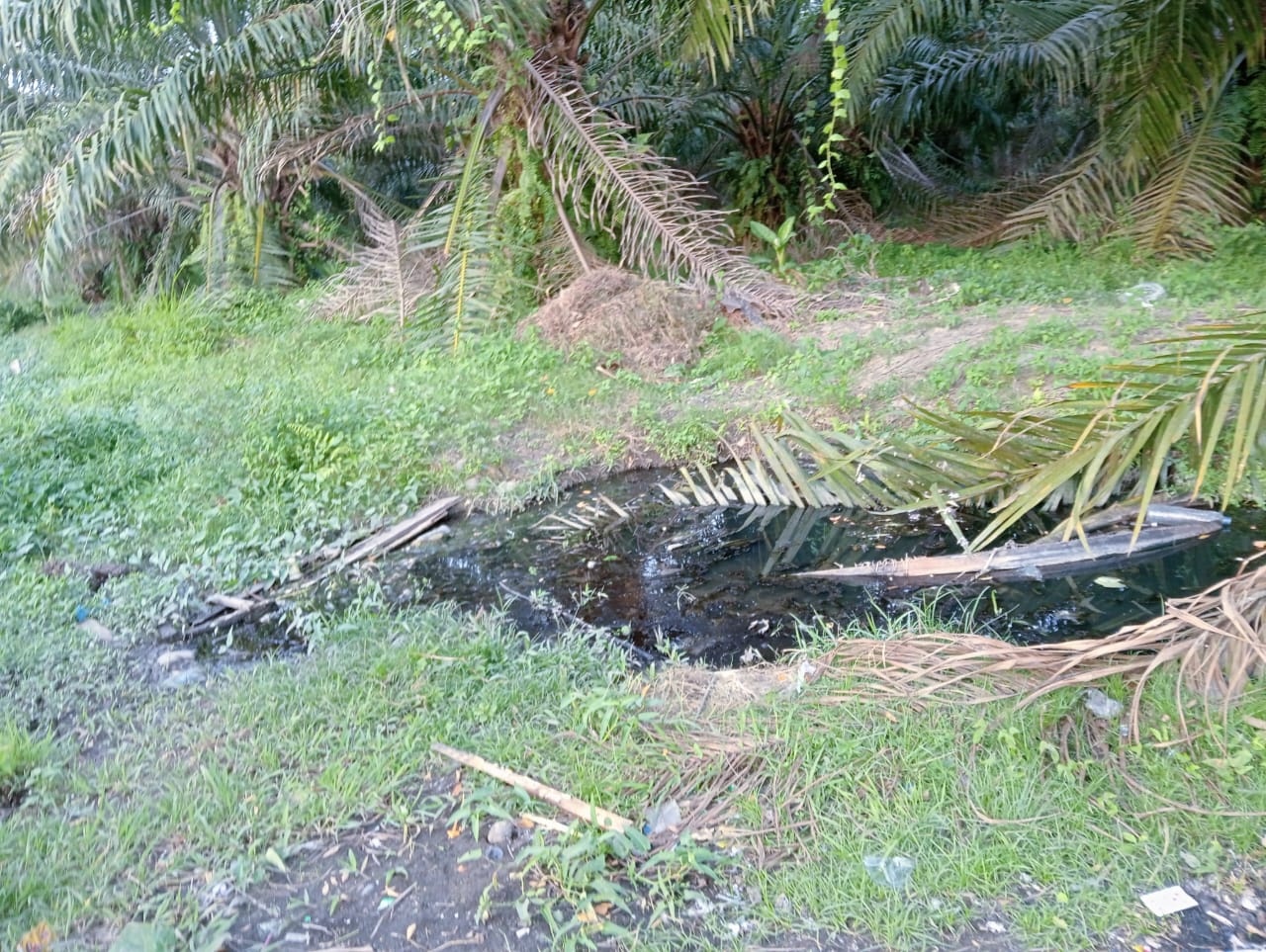 MENYENGAT: Genangan  air diduga Limbah dari PKS Adolina menimbulkan bau enyengat di pemukiman warga yang berada di lingkungan Pasiran, Kelurahan Simpang Tiga Pekan. (FADLY/SUMUTPOS)